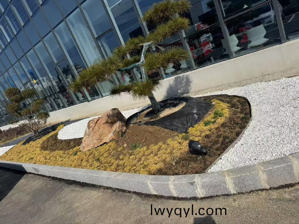 宿遷某瑞(rui)森企業(yè)廠(chang)房(fang)內(nèi)部(bu)綠化(hua)